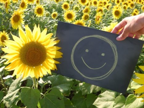 脱サラ、未経験から整体院を開業して失敗しない16個のパターン